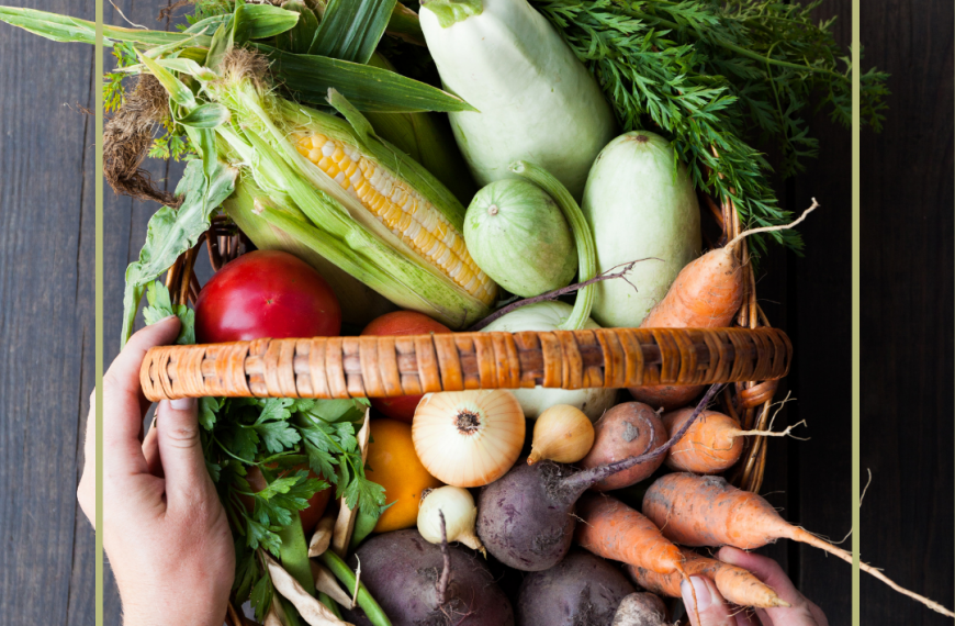 Ernährung bei Krebs