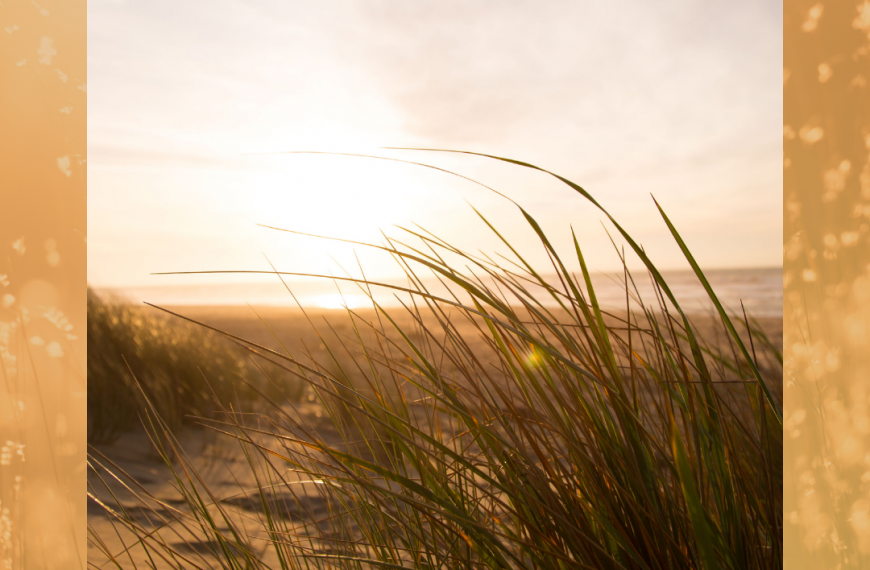Life is better at the beach