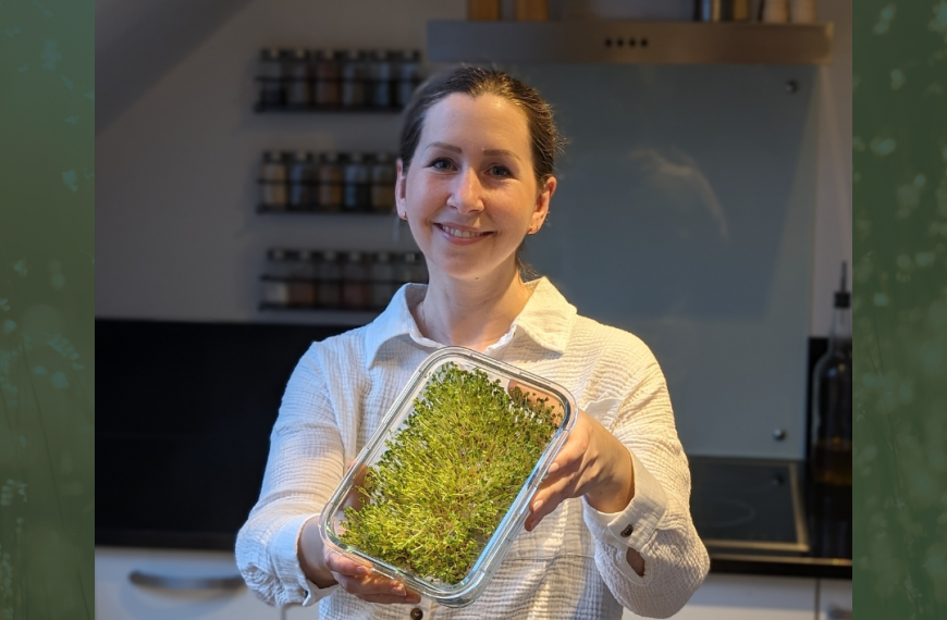 Brokkoli Sprossen Superfood im Kampf gegen Krebs